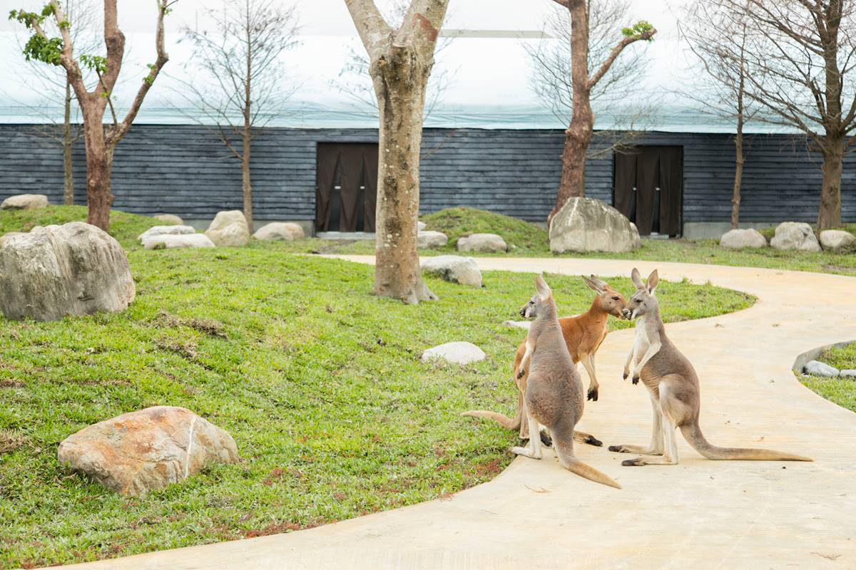 <br /><br />蘭陽動植物王國